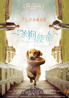 年轻妻子的工作